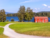 Hamar